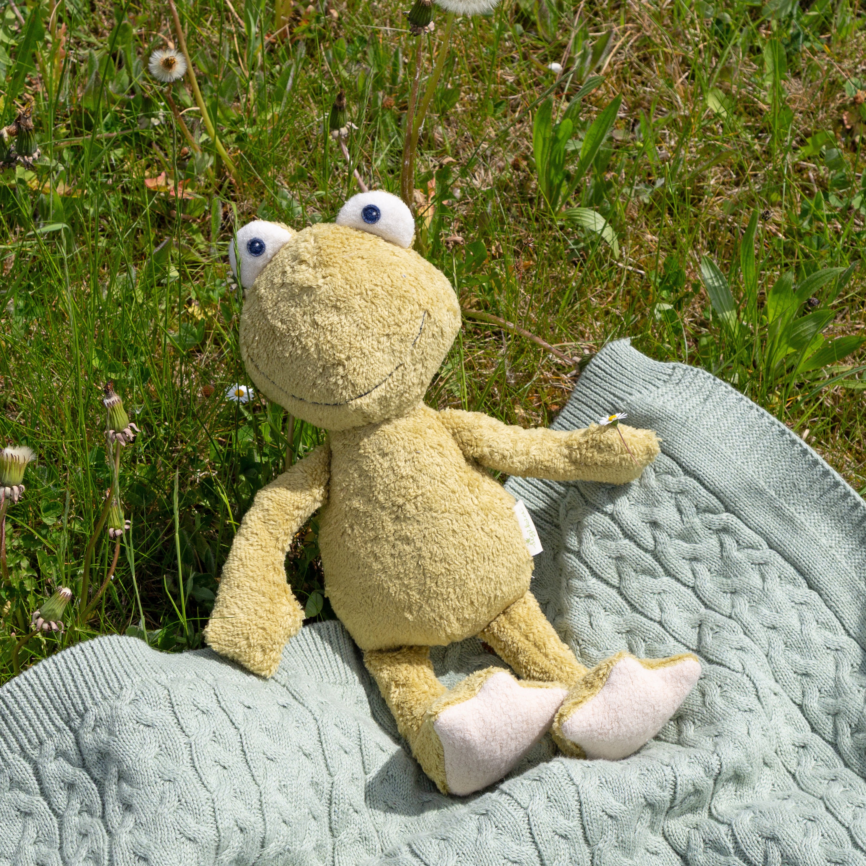 Bio-Kuscheltier Frosch auf einer Wiese & Decke liegend
