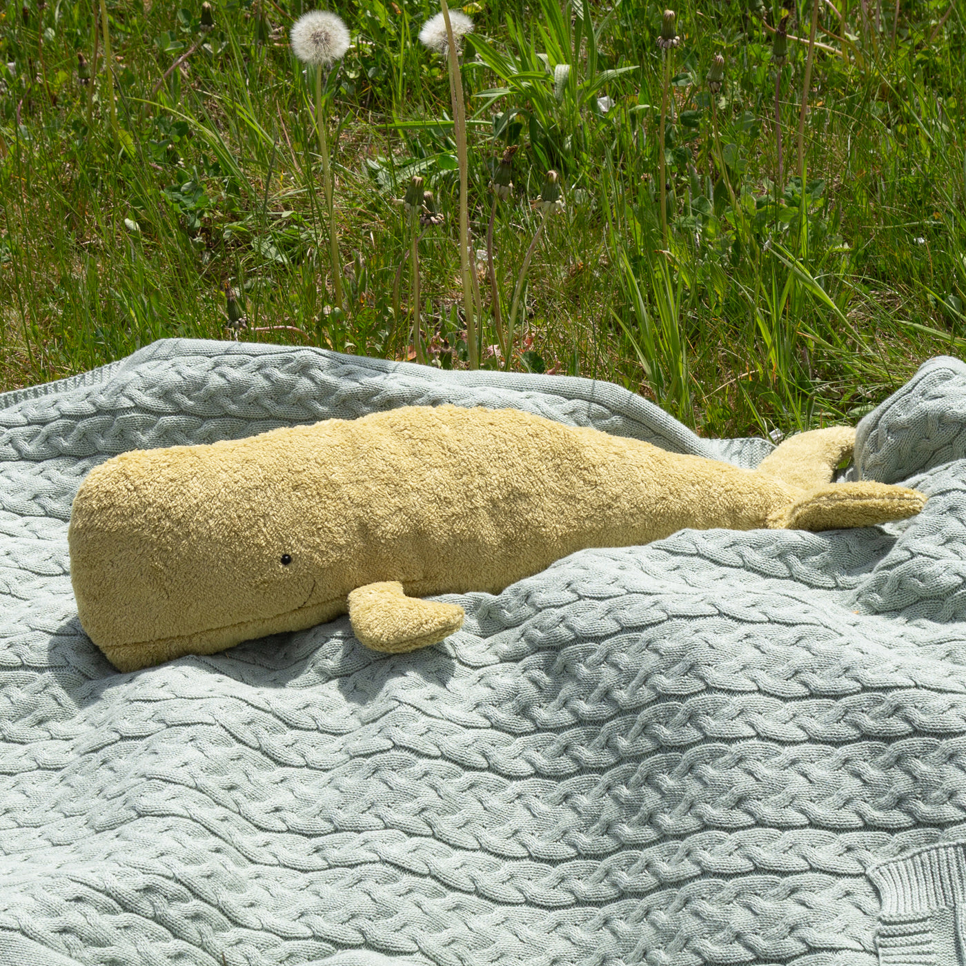Bio-Kuscheltier Pottwal auf einer Decke auf Wiese