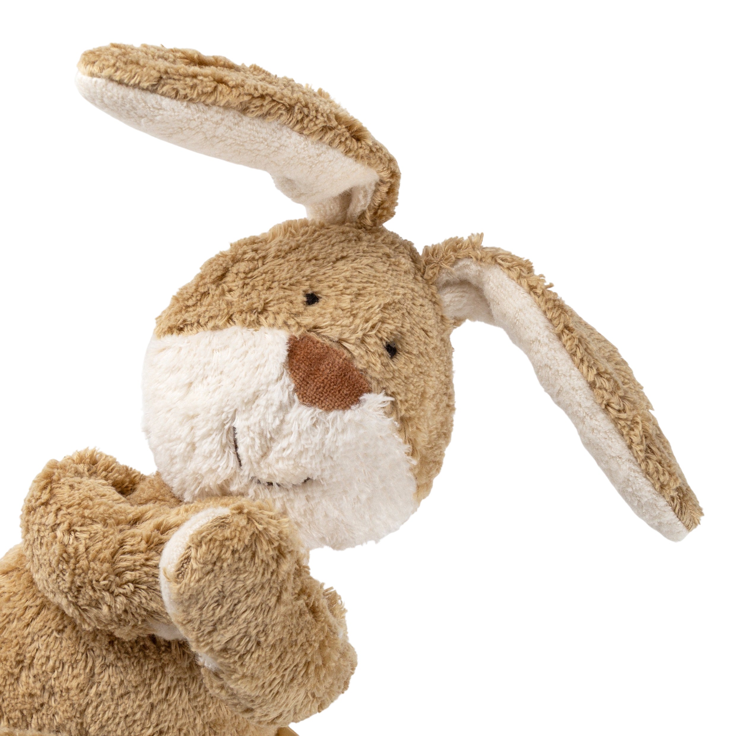 Bio-Kuscheltier Hase Nahaufnahme Kopf