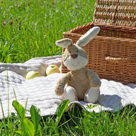 Bio-Kuscheltier Hase auf einer Picknickdecke 
