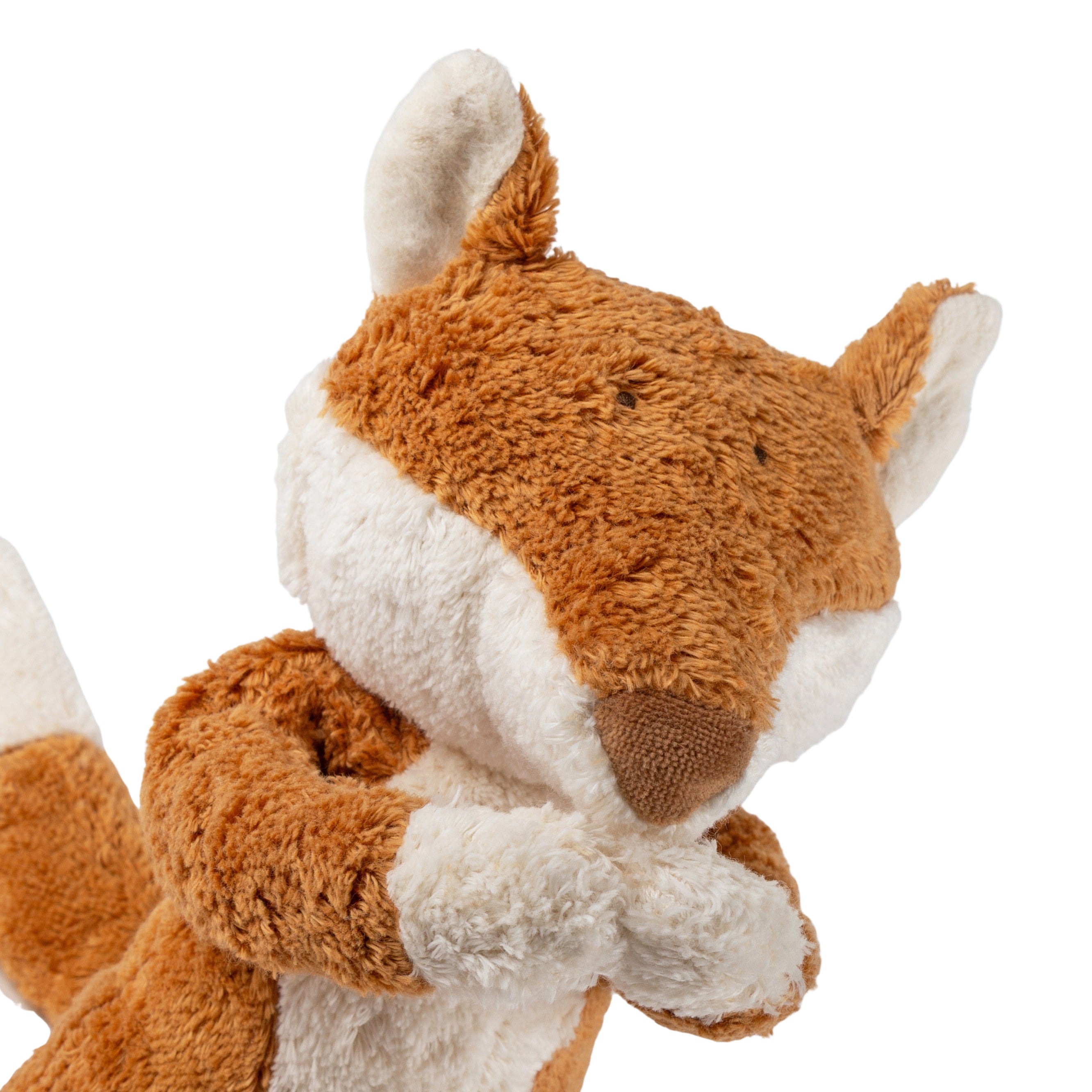 Sigikid Fuchs mit weißem Hintergrund Kopf Nahaufnahme