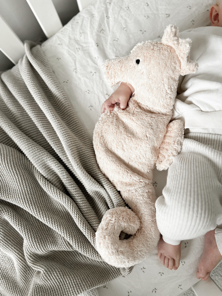 Senger_Naturwelt_Kuscheltier_Seepferdchen_klein_Y21063_04